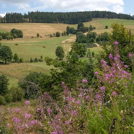 Hildfeld